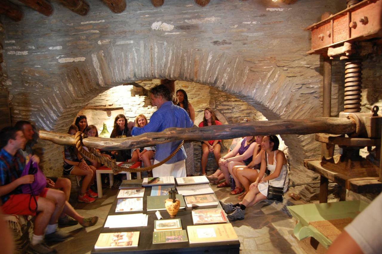 Cyclades Olive Museum'S Guest House Pitrofos Zewnętrze zdjęcie