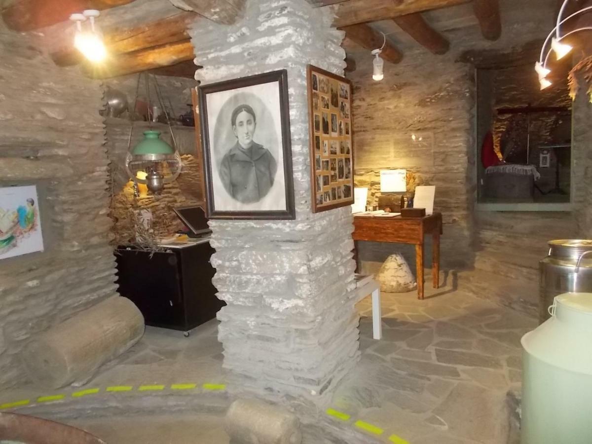 Cyclades Olive Museum'S Guest House Pitrofos Zewnętrze zdjęcie